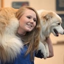 Robin's Dog Stars Animal Act