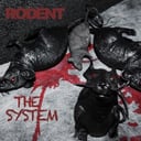 Rodent
