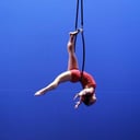 Rosie Bliss-Aerialist