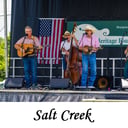Salt Creek