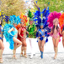 Samba 1 dance Brazilian Entertainment