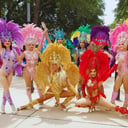 Samba Dancer -  Karen's Hora Loca