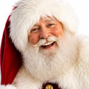 Santa Barney