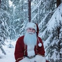 Santa Bernard