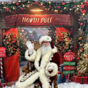 Santa Bob