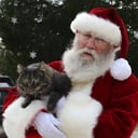 Santa Chuck