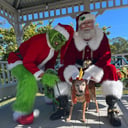 Mandarin Santa and The Grinch