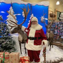 Santa Claus Bob
