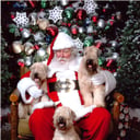 Owosso Santa Claus