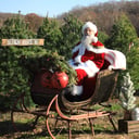 Santa Todd