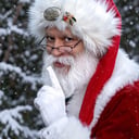 Santa David
