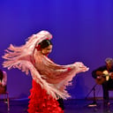Mina Fajardo Flamenco Santa Fe