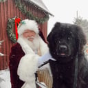 Santa Gary