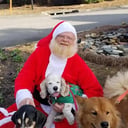 Santa Gene
