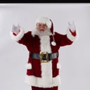 Santa James