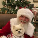 Santa Kav