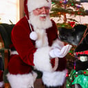 Santa Mike