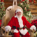 Santa Ray