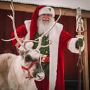 Santa Ron Jolly Elf
