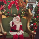 Santa T