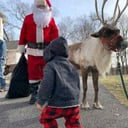 Santa Tracy