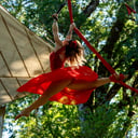 Sarah “Bliss” Aerialist