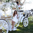 Savannah Rose Carriages