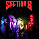 Section 8