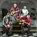 Seeds of Agape