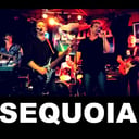Sequoia