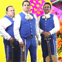 Mariachi Trio Catrines
