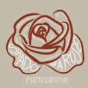 Shado of a Rose Photography