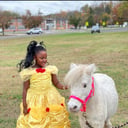 Sharing Horses W Humans, LLC