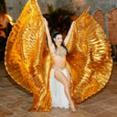 Hipnotic Entertainment - Bellydance, Fire, Samba, Hula