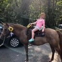 Sheffield Way Farm LLC