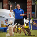 Showtime Canines