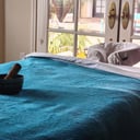 Silver Liner Mobile Massage Studio