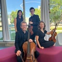 Windy City Strings
