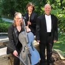 Silver &amp; Strings Trio