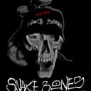Snake Bones