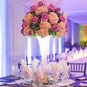 SNOB Appeal  Weddings