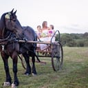 Sonnyside Rides Martha's Vineyard Horse &amp; Carriage