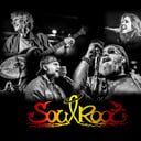 SoulRoot