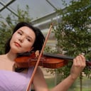 Alma Elegance Violin