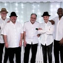 Squeezebox Stompers