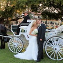 St Petersburg Carriages