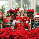 St Simons Island Santa