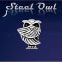 Steel Owl