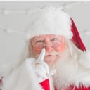 Stephen B Kringle