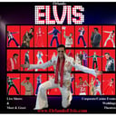 Stevie G as Orlando Elvis